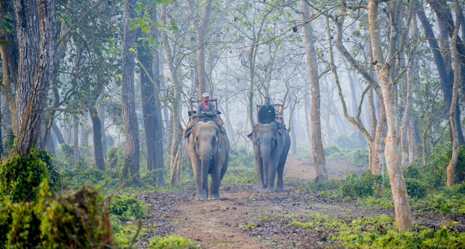 Kathmandu, Chitwan and Pokhara