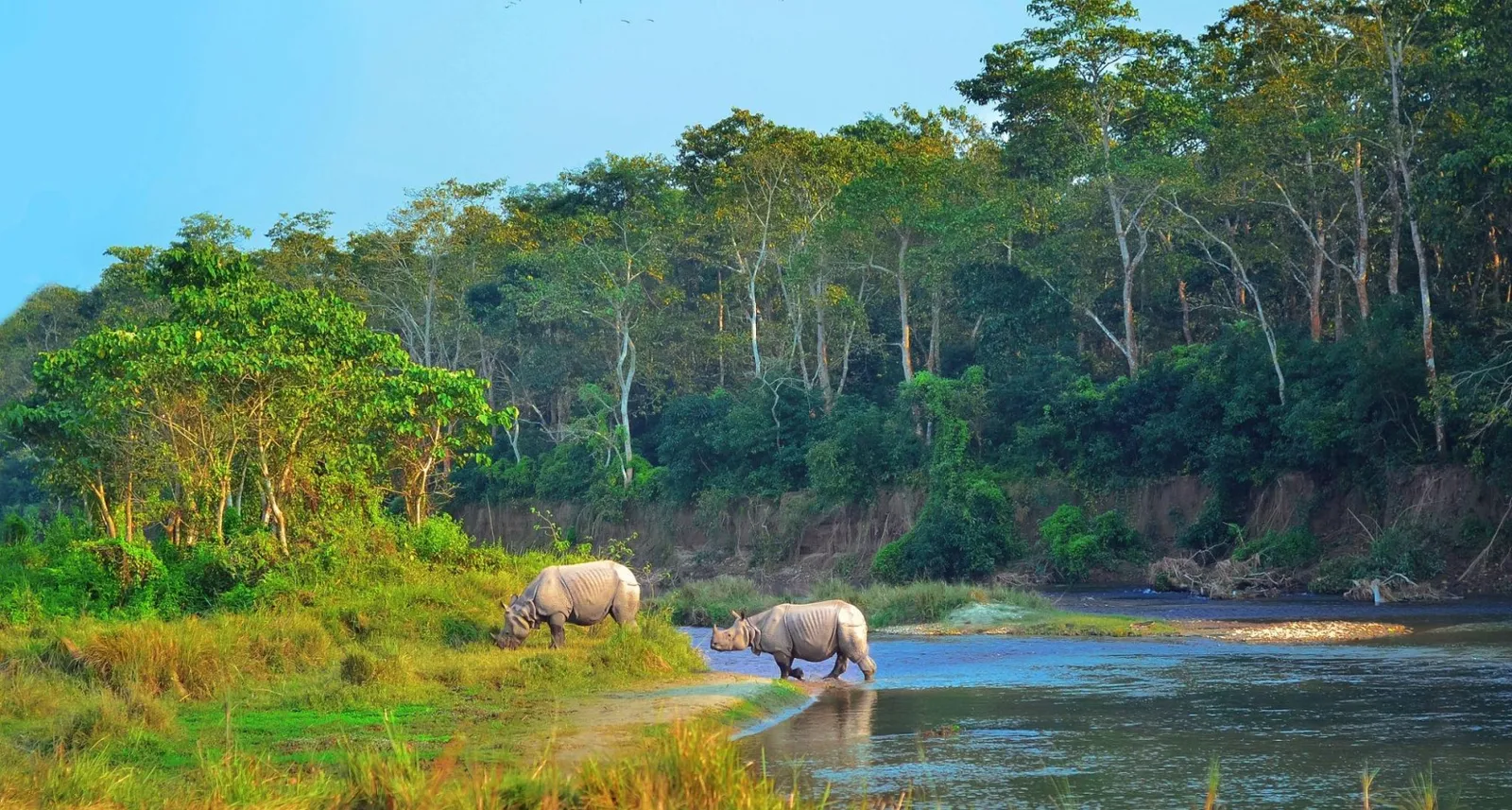 Nepal Wildlife & Jungle Safari Tour